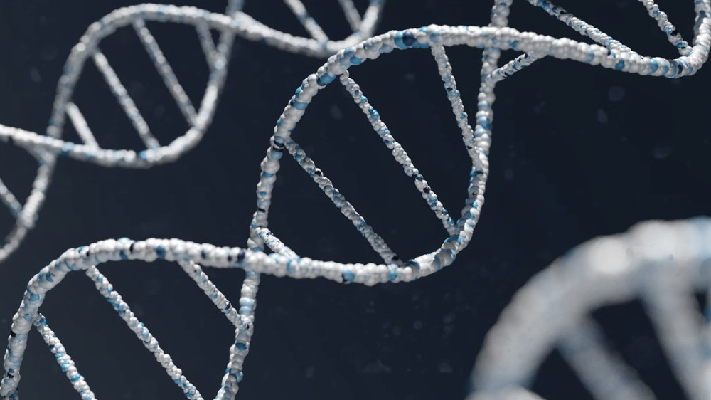 Understanding DNA Fragmentation