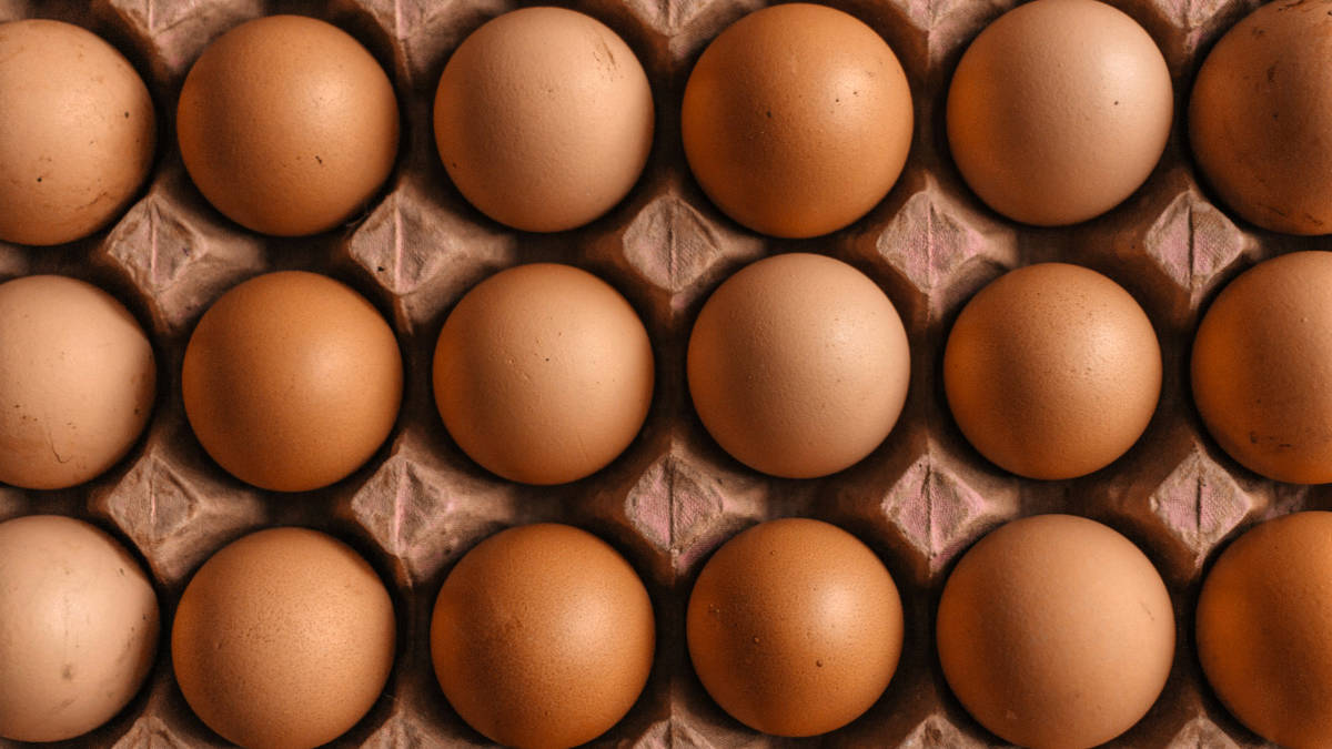 Why Protein Matters So Much for Fertility and Pregnancy